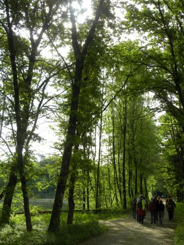 lohwallfahrt 2018 09
